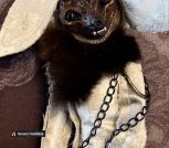 Кукла (текстиль, глина, акрил, эпоксидная смола)