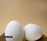 IMG_4209 Заготовки яиц для декора