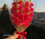 Интерьерная композиция мальва