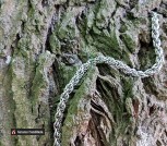 Лунная нить_4