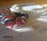 c25cc210a05e2ba30b185c3f10bd7f56