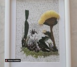 20200220_154802_c562241a