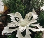 photo_2020-12-03_11-28-23