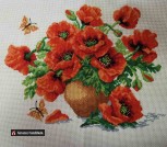 IMG-80ce9d77e1492e03b5f1c81e9899dd95-V