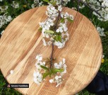 IMG_20200519_093618_561