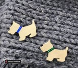 photo_2021-02-12_22-28-09