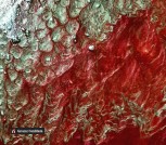 IMG_20210321_121151_738