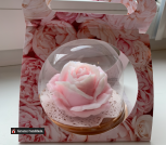 BD5FE350-5BF7-4364-8E86-F0FDB3FB8D3D