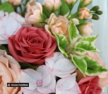 композиция2_1