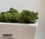 photo_2020-12-08_17-04-48