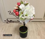 162112355_234651178384874_1125328119587853968_n