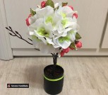 162469799_276120077305570_2737330378424782186_n