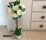 162434442_934561940645979_7275199368427099794_n