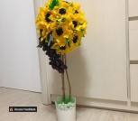 161276277_242273604247012_7686639036032217149_n