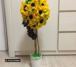 161303164_911253293022548_7613107933411565315_n