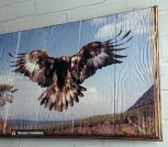 photo_2021-02-08_15-33-54