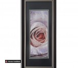 28 Сиреневая роза 0