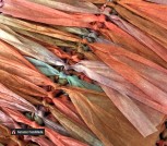 photo_2021-06-29_00-14-19