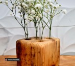 IMG-1e66129227382d6e5d53ea999f9d8da8-V