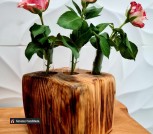 IMG-d042e4c20de418edd43b4235468e42ac-V