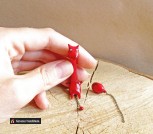 il_794xN.1590570055_tk1z