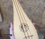 PXL_20210816_150212448.PORTRAIT