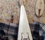 PXL_20210816_150419168.PORTRAIT