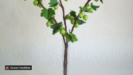 Крыжовник3