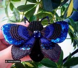 IMG_20210927_123328_328