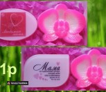 IMG_20211006_071426_938