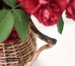 изображение_viber_2021-09-16_11-37-43-786