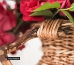 изображение_viber_2021-09-16_11-41-52-117