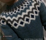 73bbba7e02f7a4598f06503826ai--raboty-dlya-detej-sviter-lopapejsa-hvojnyj-les