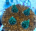 IMAGE 2022-01-02 19:51:10