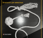 20220121_005117_0000