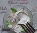 IMG_20220124_153543_143