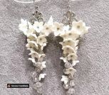 IMG_20220408_122002_013