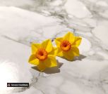 IMG_20220427_102810_137