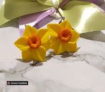 IMG_20220427_102823_501