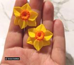 IMG_20220427_102831_883