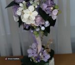 2 сирень нор