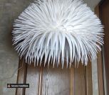 IMG_20220523_172423_118