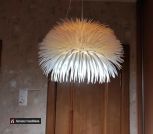 IMG_20220523_172423_214