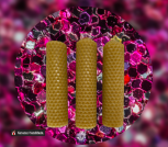 A37CE9AB-30BB-43D6-B6DA-B59407ECB451