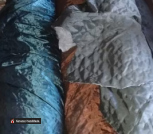 изображение_viber_2022-11-07_09-20-22-471