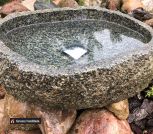 A9DC109A-3D35-459D-A341-E41B968E23BD 2