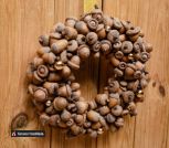 photo_2022-11-29_22-46-33