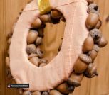 photo_2022-11-29_22-46-38