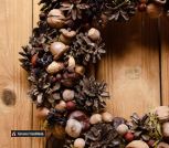 photo_2022-11-29_22-47-51