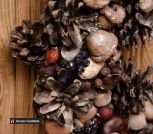 photo_2022-11-29_22-47-52